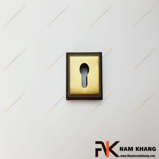 Khóa âm cửa mở NK566KA-RX (Màu Đồng Vàng)